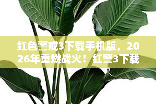红警3下载狂潮背后竟藏惊天秘密图片