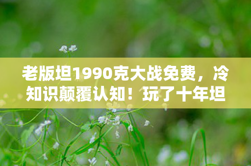玩了十年坦克大战1990的我图片