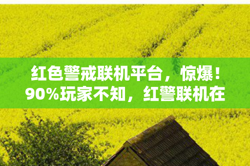 红警联机在3平台竟有这离谱差距图片