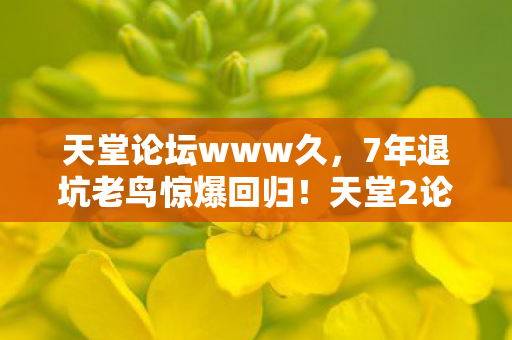 天堂2论坛这波更新让我彻底破防了图片
