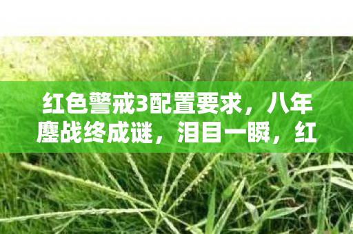 红警3关服倒计时里的配置残影图片