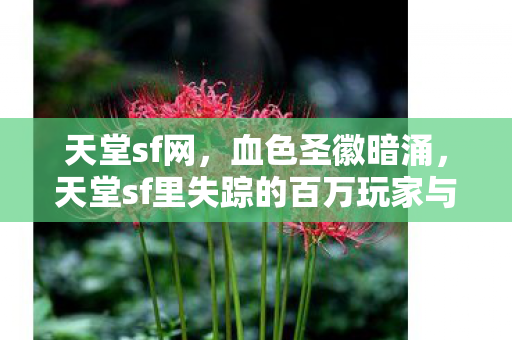 天堂sf里失踪的百万玩家与永不熄灭的诅咒烛台图片