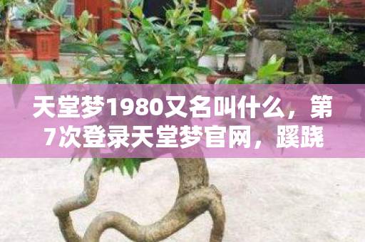 天堂梦1980又名叫什么图片
