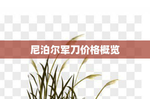 尼泊尔军刀价格概览 尼泊尔军刀价格概览