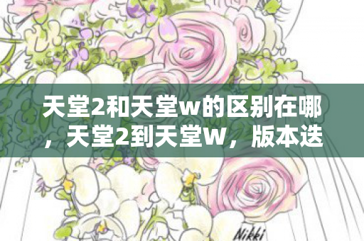 天堂2和天堂w的区别在哪图片