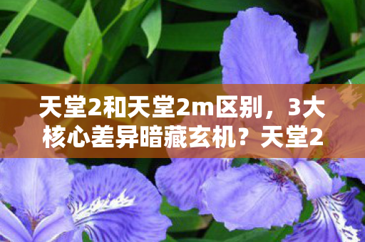 天堂2老玩家亲历的版本惊变真相图片