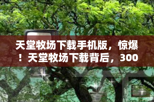 300万玩法预算竟藏着这隐情图片