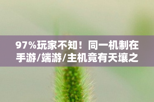 主机竟有天壤之别图片