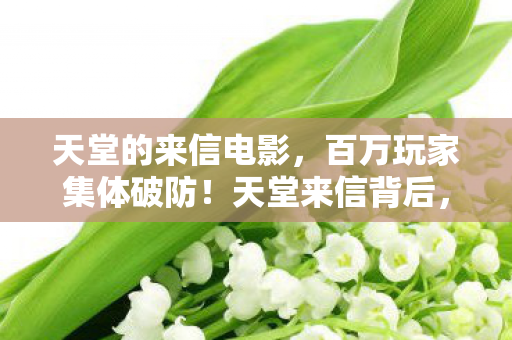 竟藏着让全服泪崩的终极谜团图片