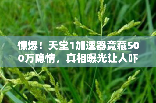 天堂1加速器竟藏500万隐情图片