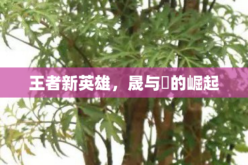 王者新英雄,晟与暃的崛起 王者新英雄,晟与暃的崛起