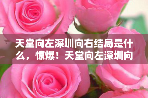 天堂向左深圳向右结局藏3大反转图片