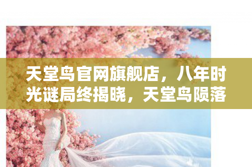 八年时光谜局终揭晓图片