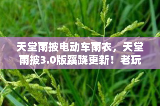 天堂雨披电动车雨衣图片