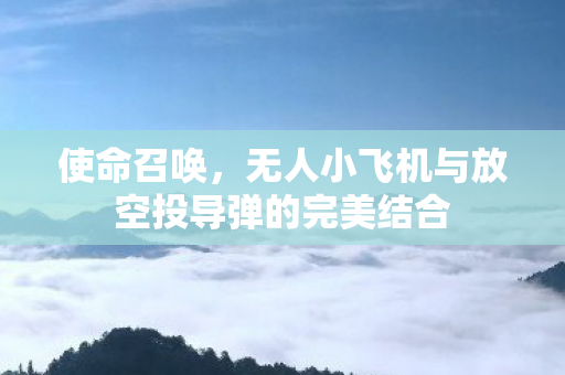 使命召唤,无人小飞机与放空投导弹的完美结合 使命召唤,无人小飞机与放空投导弹的完美结合