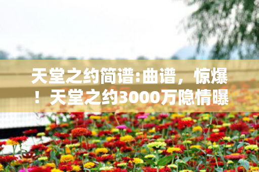 天堂之约3000万隐情曝光图片