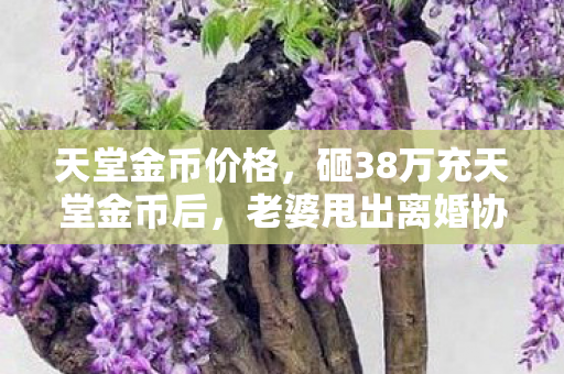 砸38万充天堂金币后图片