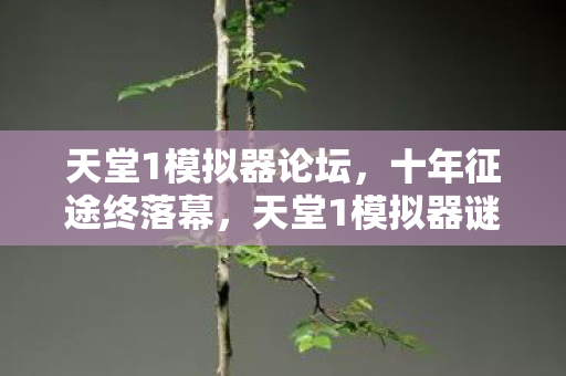 天堂1模拟器谜题终解图片