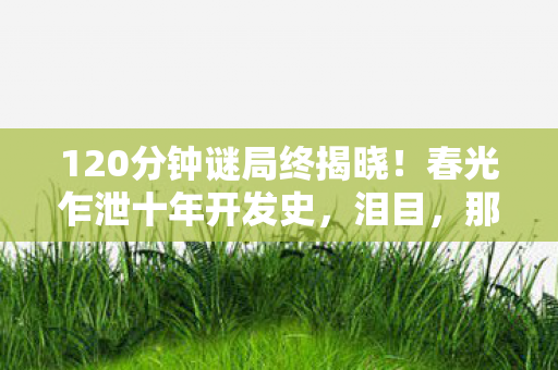 120分钟谜局终揭晓图片