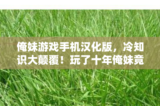 玩了十年俺妹竟不知这设定图片