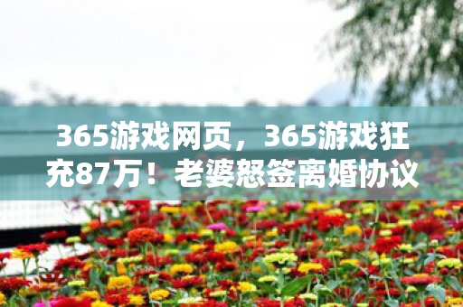 365游戏狂充87万图片