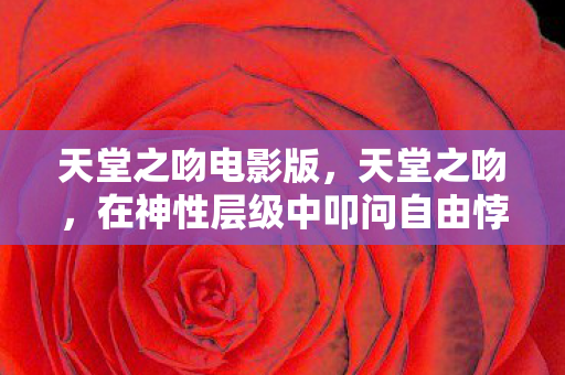 在神性层级中叩问自由悖论图片