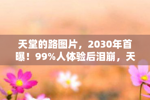 天堂的路竟藏着这致命真相图片