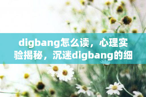 沉迷digbang的细思极恐自我麻醉之旅图片