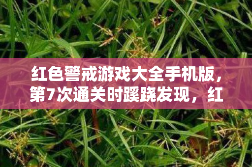 红色警戒背后竟藏着让我后背发凉的真相图片