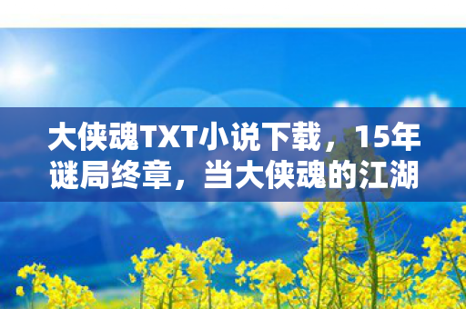 当大侠魂的江湖成为数据坟场图片