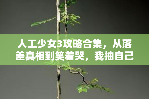我抽自己嘴巴却戒不掉人工少女3的瘾图片