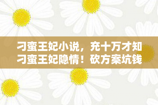 充十万才知刁蛮王妃隐情图片