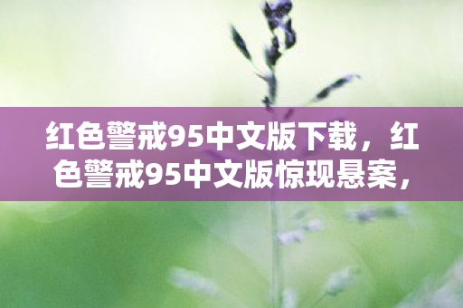 红色警戒95中文版惊现悬案图片
