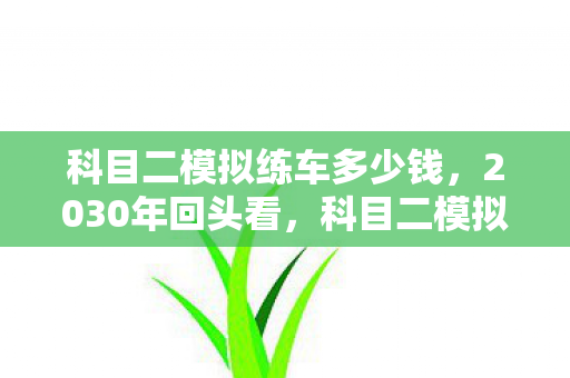 科目二模拟练车72小时图片