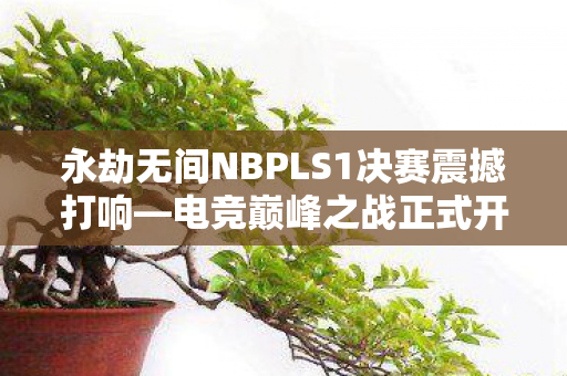 永劫无间NBPLS1决赛震撼打响—电竞巅峰之战正式开启 永劫无间NBPLS1决赛震撼打响—电竞巅峰之战正式开启