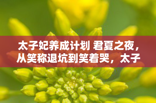 太子妃养成计划 君夏之夜图片