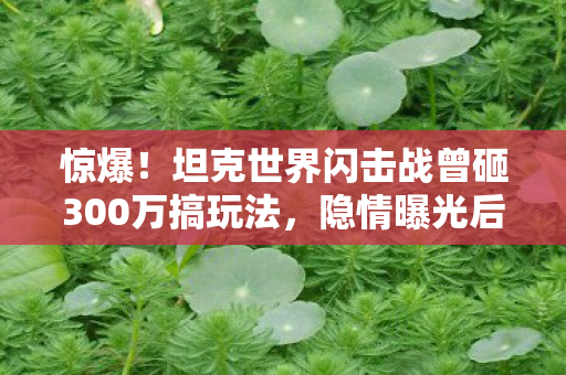 坦克世界闪击战曾砸300万搞玩法图片