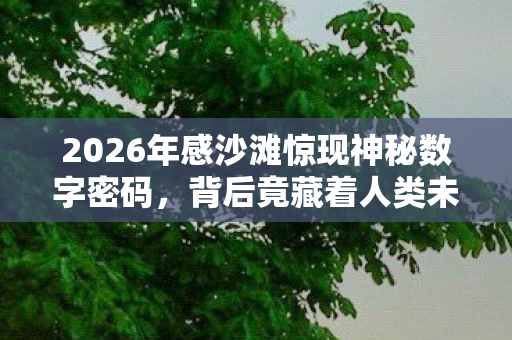 2026年感沙滩惊现神秘数字密码图片