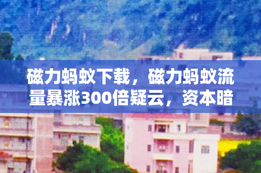 磁力蚂蚁流量暴涨300倍疑云图片