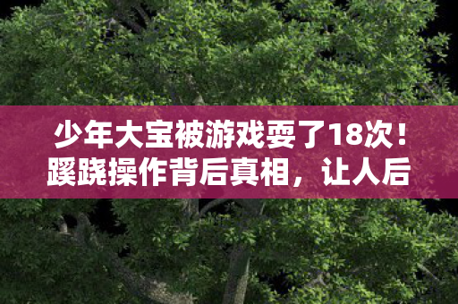 少年大宝被游戏耍了18次图片