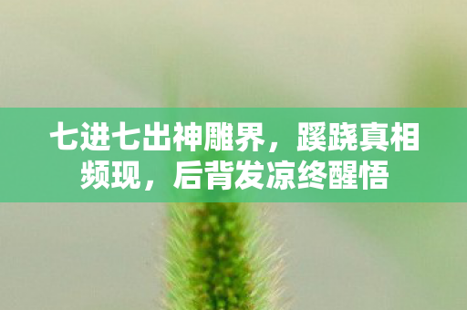 七进七出神雕界图片