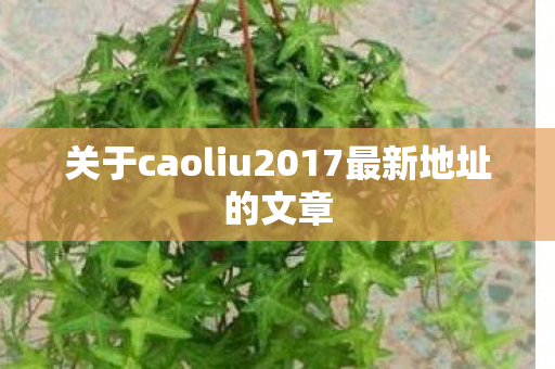 关于caoliu2017最新地址的文章 关于caoliu2017最新地址的文章