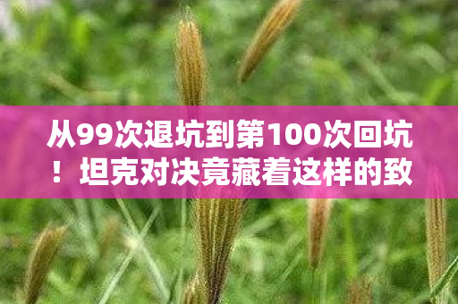 坦克对决竟藏着这样的致命吸引力图片