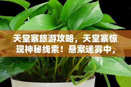 毛骨悚然真相等你揭晓图片