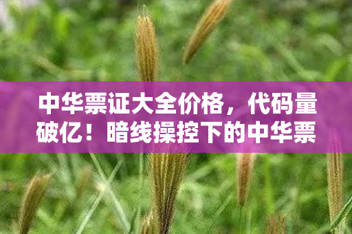 暗线操控下的中华票世界图片