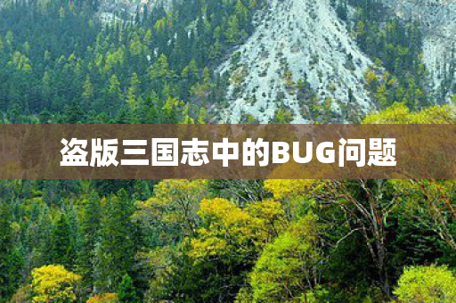 盗版三国志中的BUG问题 盗版三国志中的BUG问题