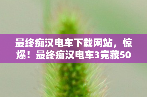 最终痴汉电车3竟藏500万隐情图片