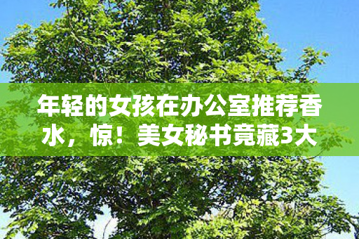 年轻的女孩在办公室推荐香水图片