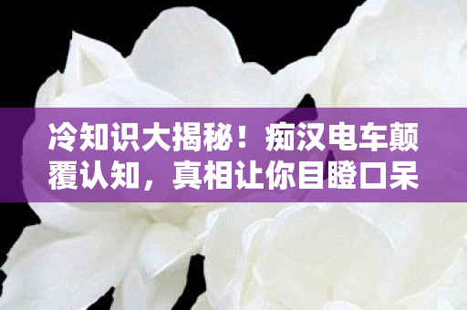 痴汉电车颠覆认知图片