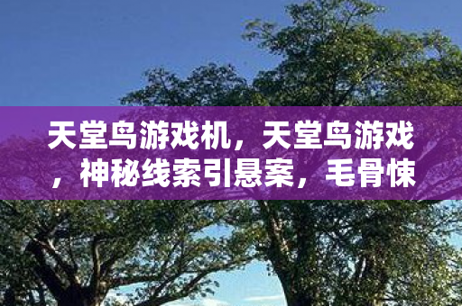 毛骨悚然困兽十年未逃图片